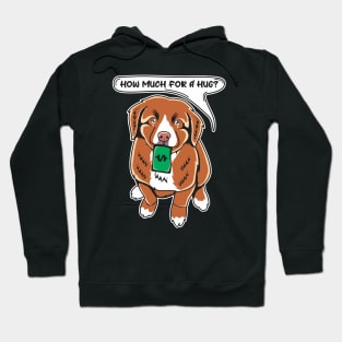 Funny Toller Nova Scotia Duck Tolling Retriever Puppy Needs A Hug Hoodie